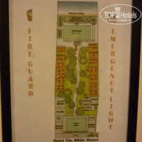 фото из отзыва ID 517311