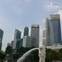 фото из отзыва ID 518218