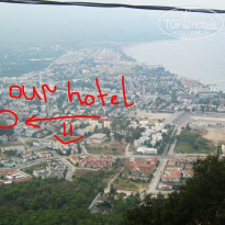 фото из отзыва ID 518241