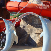 фото из отзыва ID 518322