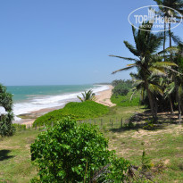 фото из отзыва ID 518535