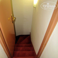 фото из отзыва ID 518575