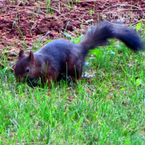 фото из отзыва ID 518575