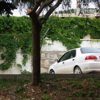 фото из отзыва ID 518710