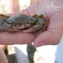 фото из отзыва ID 518935