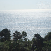 фото из отзыва ID 519413