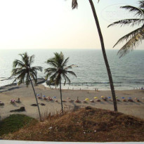 фото из отзыва ID 519455