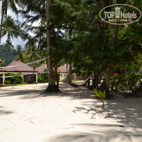 фото из отзыва ID 519610