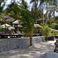 фото из отзыва ID 519610