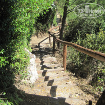 фото из отзыва ID 519755