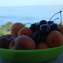 фото из отзыва ID 519413