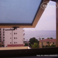 фото из отзыва ID 520023