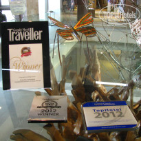 фото из отзыва ID 520282