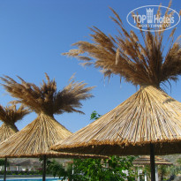 фото из отзыва ID 520282