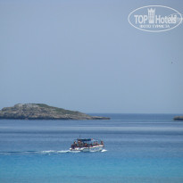 фото из отзыва ID 520282