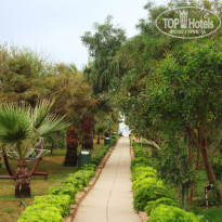 фото из отзыва ID 520352