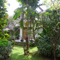 фото из отзыва ID 520376