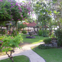 фото из отзыва ID 520376