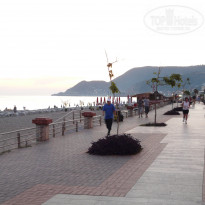 фото из отзыва ID 520458