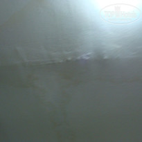 фото из отзыва ID 520481