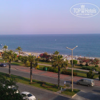 фото из отзыва ID 520543