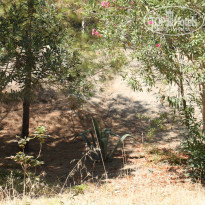 фото из отзыва ID 520562