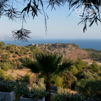 фото из отзыва ID 520562