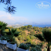 фото из отзыва ID 520562