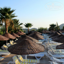 фото из отзыва ID 520562