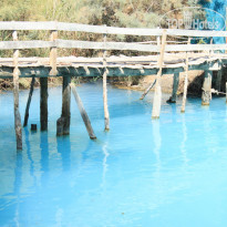 фото из отзыва ID 520562