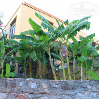 фото из отзыва ID 520562