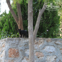 фото из отзыва ID 520562