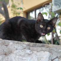 фото из отзыва ID 520562