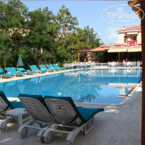 фото из отзыва ID 520787