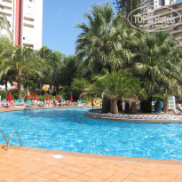 фото из отзыва ID 520806