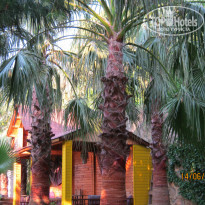 фото из отзыва ID 520841