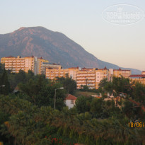 фото из отзыва ID 520841