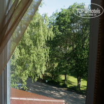 фото из отзыва ID 520761