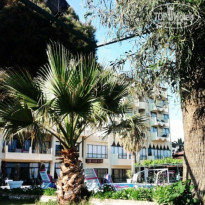 фото из отзыва ID 520352