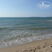 фото из отзыва ID 521014