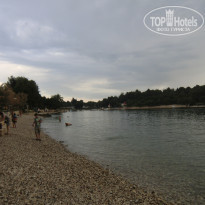 фото из отзыва ID 521173