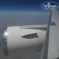 фото из отзыва ID 521265