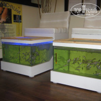 фото из отзыва ID 521328