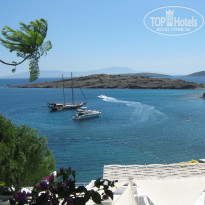 фото из отзыва ID 521328