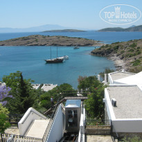 фото из отзыва ID 521328