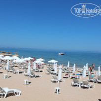 фото из отзыва ID 521685