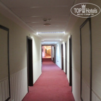 фото из отзыва ID 521685