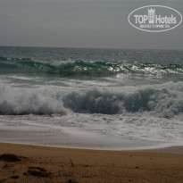 фото из отзыва ID 521803