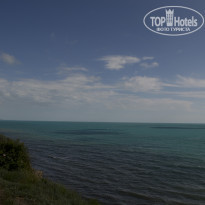 фото из отзыва ID 522209