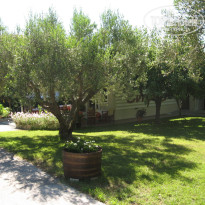 фото из отзыва ID 522444